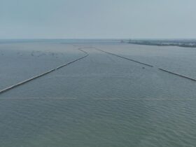 Kasus Pagar Laut di Indonesia Akar Masalah, Dampak Nyata, dan Jalan Keluar yang Masuk Akal