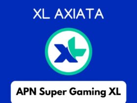 Panduan Lengkap Pengaturan APN XL untuk Koneksi Internet Stabil dan Cepat