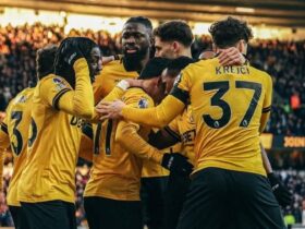 Pertandingan Wolves Jadwal, Hasil, dan Analisis Terbaru untuk Penggemar Sepak Bola