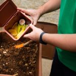 Cara Membuat Pupuk Kompos yang Mudah dan Efektif di Rumah