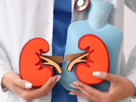 Fakta Medis tentang Transplantasi Ginjal: Proses, Risiko, dan Peluang Hidup Lebih Baik