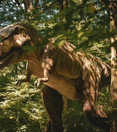 Kenapa Dinosaurus Punah? Penjelasan Ilmiah tentang Akhir Zaman Dinosaurus