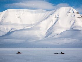 Kutub Selatan: Fakta Ilmiah, Iklim Ekstrem, dan Peran Pentingnya bagi Bumi