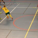 Liga Futsal: Struktur Kompetisi, Perkembangan, dan Peranannya dalam Dunia Olahraga