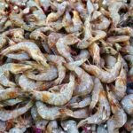 Udang Radioaktif: Fakta Ilmiah, Asal Usul Istilah, dan Dampaknya bagi Lingkungan