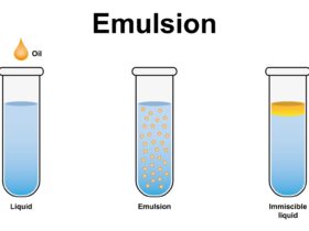Heterogen Adalah: Pengertian, Contoh, dan Perannya dalam Kehidupan Sehari-hari