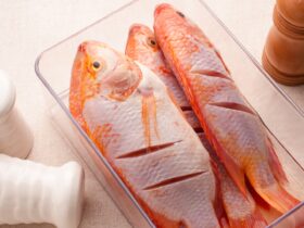Ikan Kakap: Manfaat Nutrisi, Cara Memilih yang Segar, dan Resep Masakan Lezat Nusantara