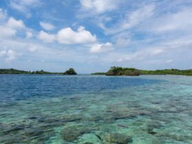 Laut Maluku Kekayaan Biota, Potensi Wisata, dan Fakta Menarik yang Wajib Diketahui